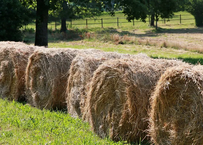 Bed & Breakfast Domaine Le Muret