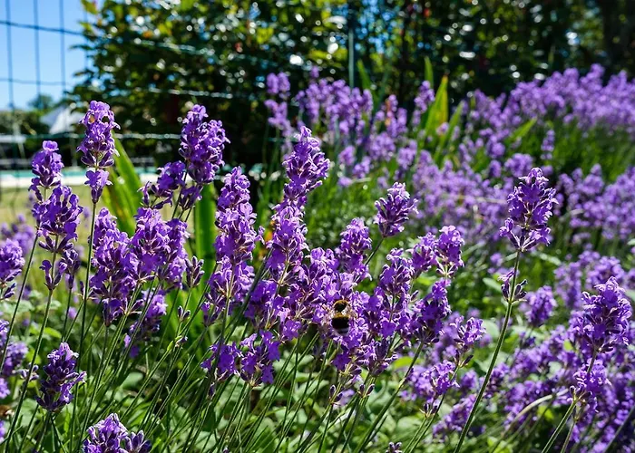 Bed & Breakfast Domaine Le Muret Saint-Salvadou