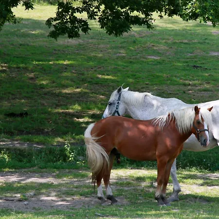 Domaine Le Muret *